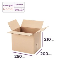 Kartonnen doos 250x200x210 mm kopen | Cartonhub