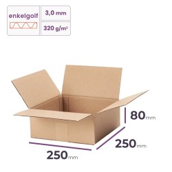 vouwdoos 250x250x80 mm