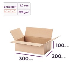 Lage, kleine kartonnen doos 300x200x100 mm | Cartonhub