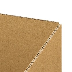 verzenddoos 30x20x14 cm dubbelgolf