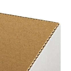 verzenddoos wit 35x25x15 cm enkelgolf