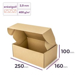 postdoos 250x160x100 mm enkelgolf