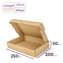 postdoos 250x200x50 mm enkelgolf